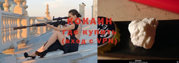 кокс Алексин