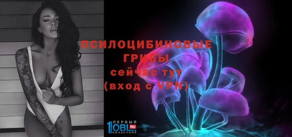 кокс Алексин