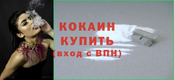 кокс Алексин