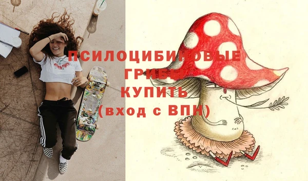 бошки Алзамай