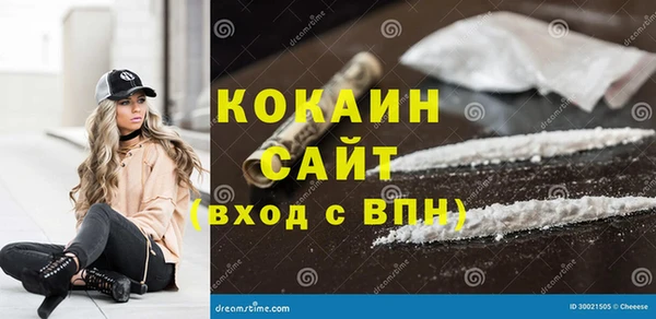 кокс Алексин