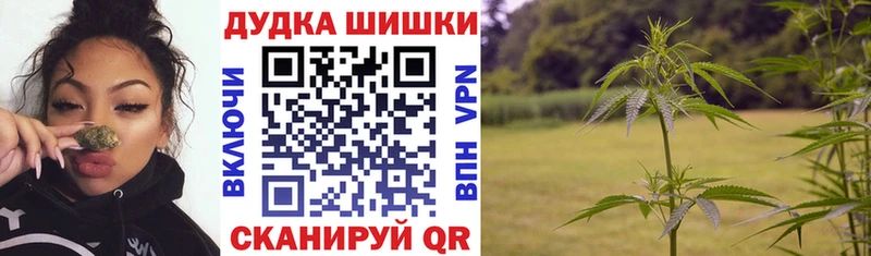 где найти Бавлы MEGA tor Каннабис SATIVA & INDICA